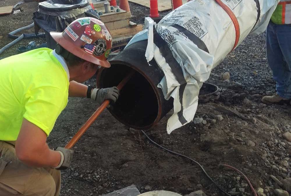 Harvard University John A. Paulson School of Engineering and Applied Sciences Project