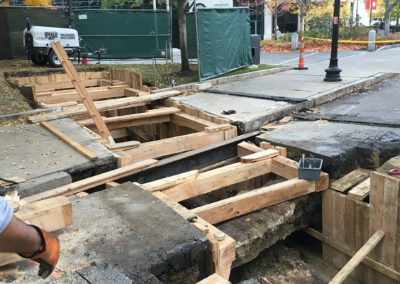 Forsyth Steamline Crossing